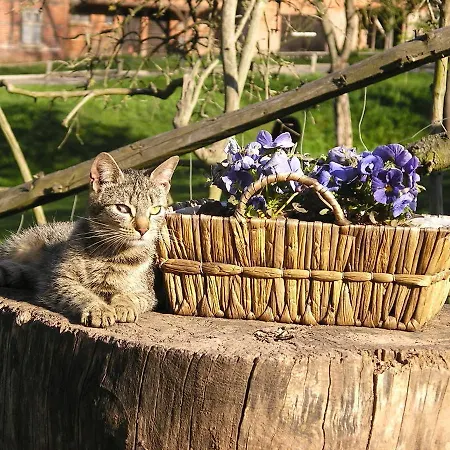 Gefildehof Gopel Eisenach