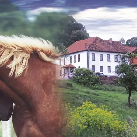 Gefildehof Gopel * אייזנבאך