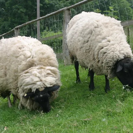 Szálloda Gefildehof Gopel *