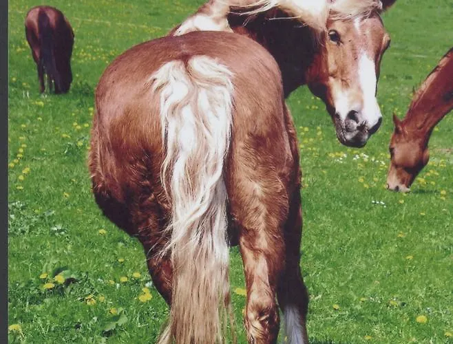 Gefildehof Gopel * Eisenach