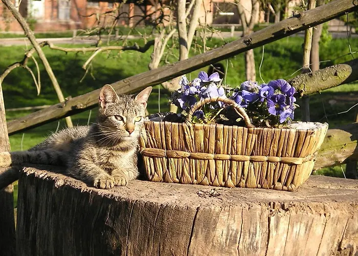 Gefildehof Gopel Eisenach
