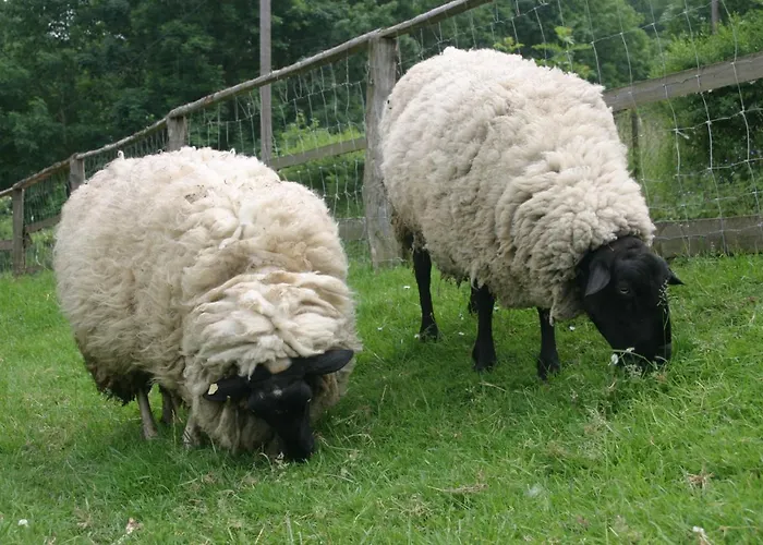 Szálloda Gefildehof Gopel *